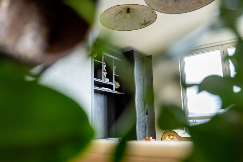 Cabinetry shot through plant in living room
